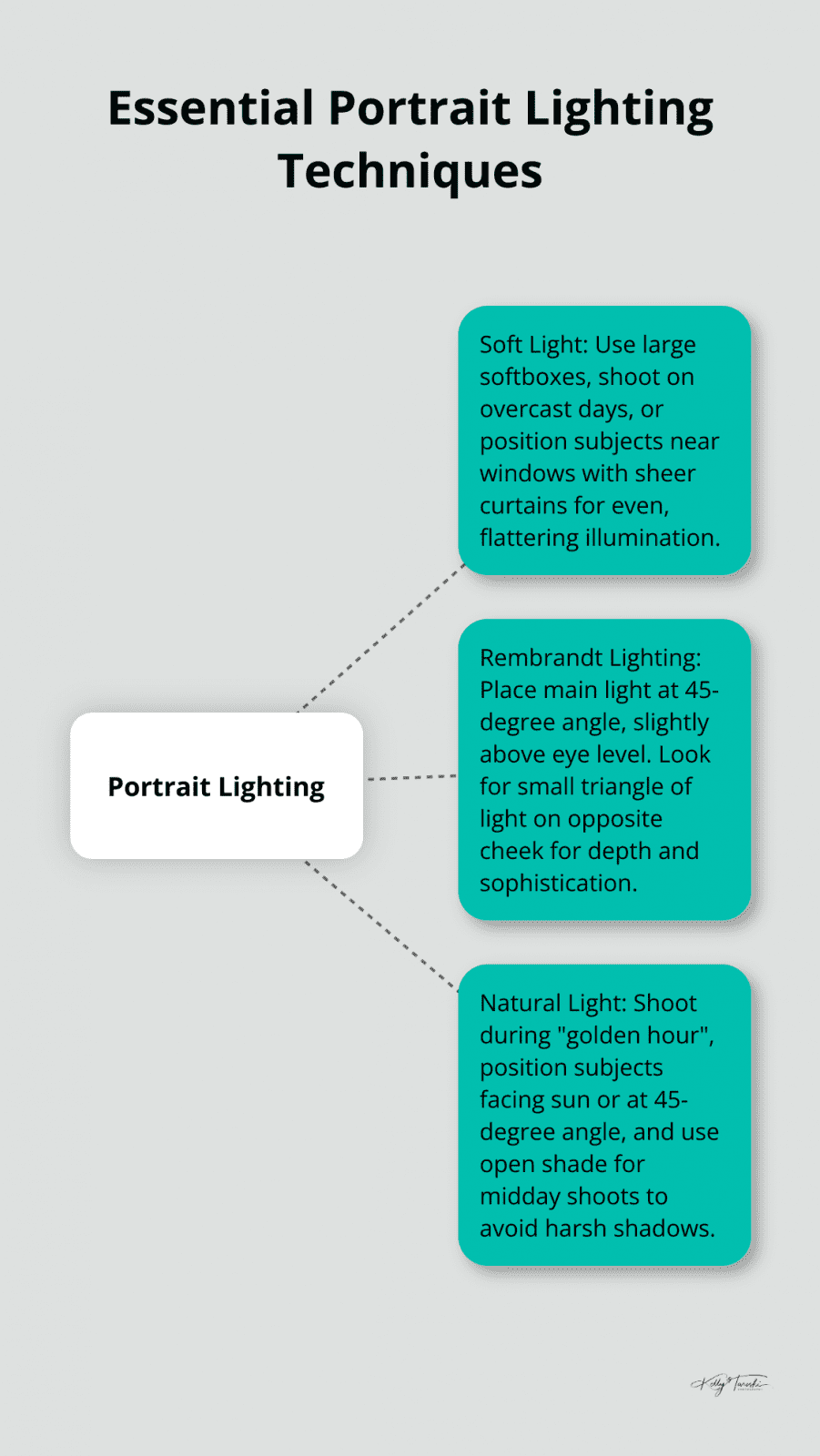 Hub and spoke chart showing three main portrait lighting techniques: soft light, Rembrandt lighting, and natural light - Photography Education