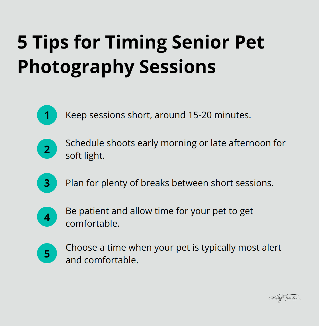 Five tips for timing senior pet photography sessions, including session length, time of day, and frequency of breaks. - Photography Education