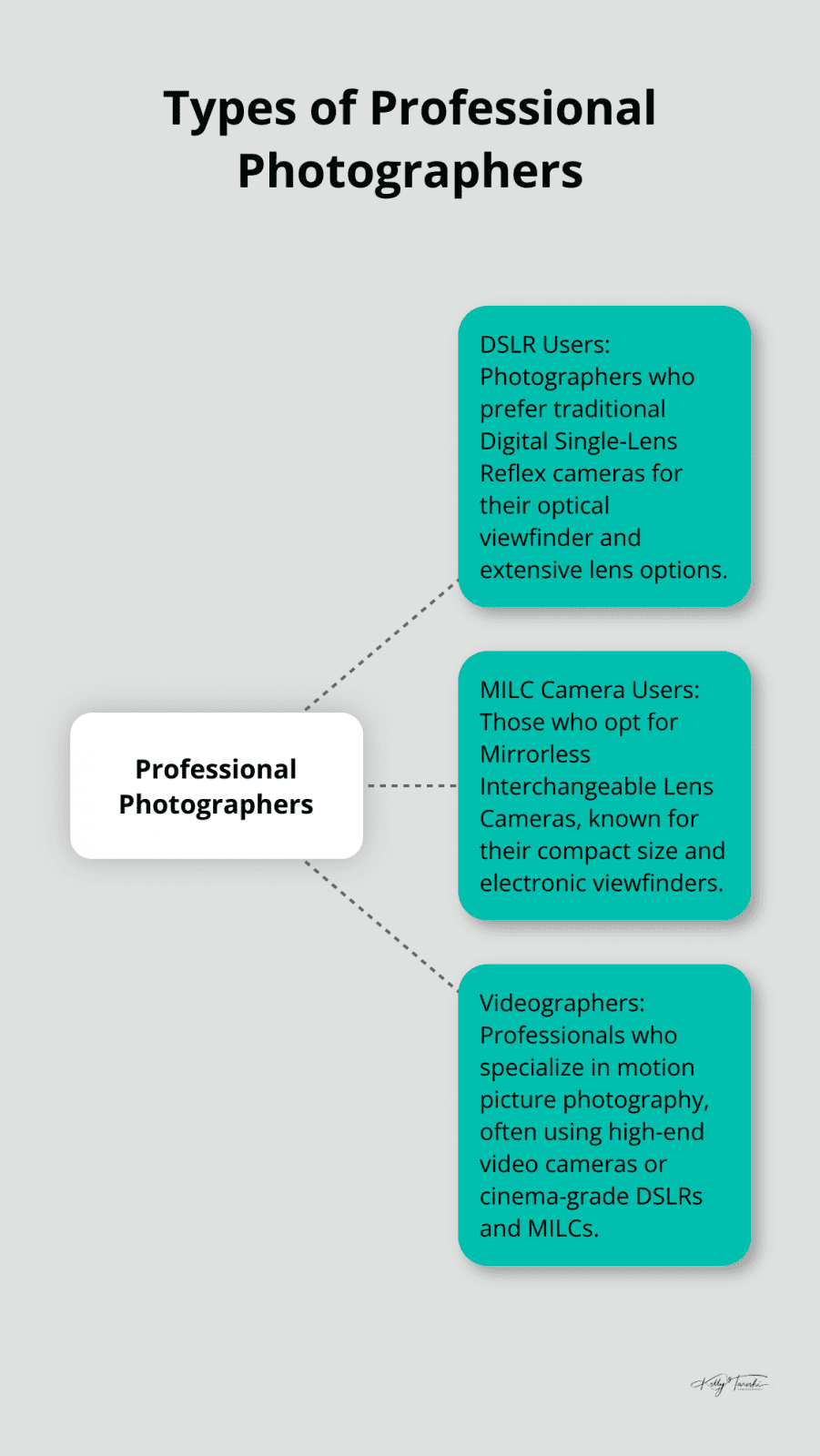 Hub and spoke chart showing different types of professional photographers: DSLR users, MILC camera users, and Videographers - Photography Education