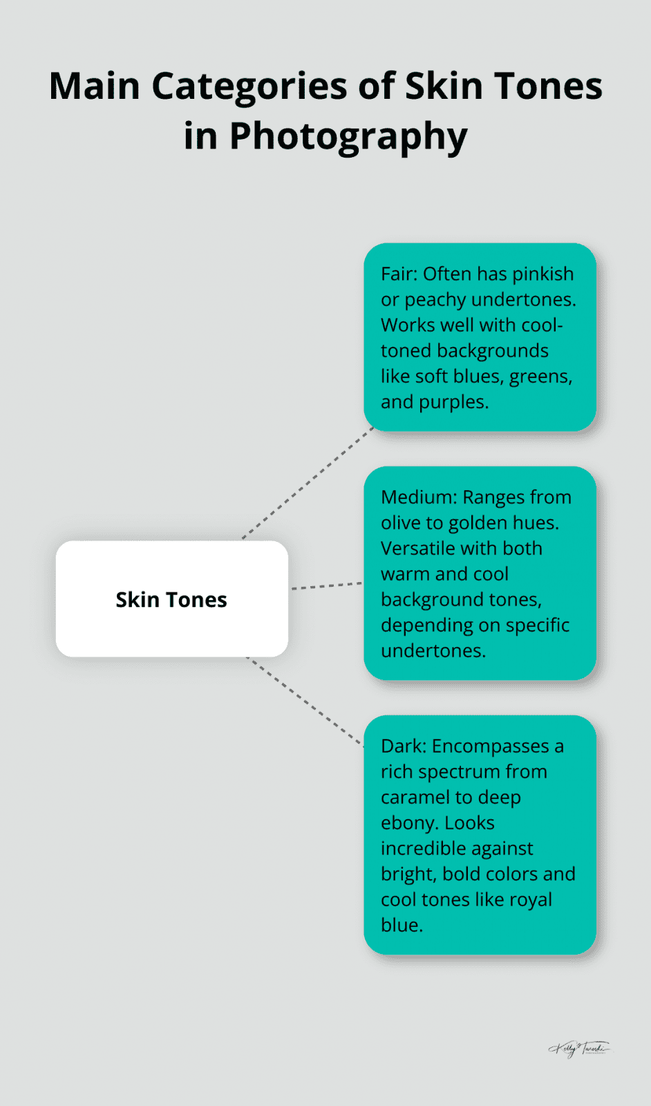 A hub-and--and-spoke chart showing three main categories of skin tones: fair, medium, and dark, with their characteristics - Photography Education