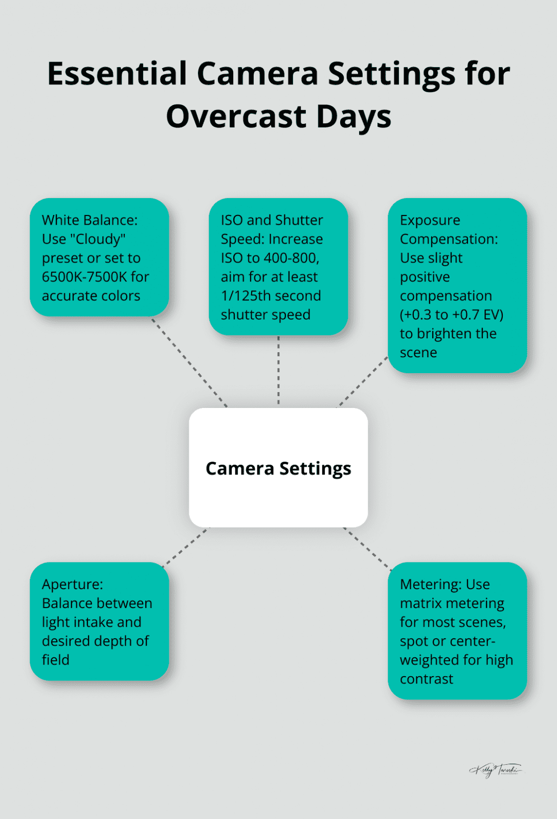 Hub and spoke chart showing essential camera settings for overcast day photography