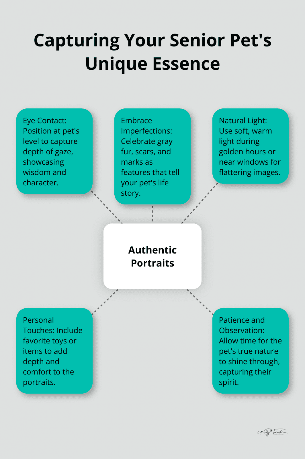 Hub and spoke chart illustrating five key techniques for capturing a senior pet's unique essence in photography, centered around the concept of authenticity. - Photography Education