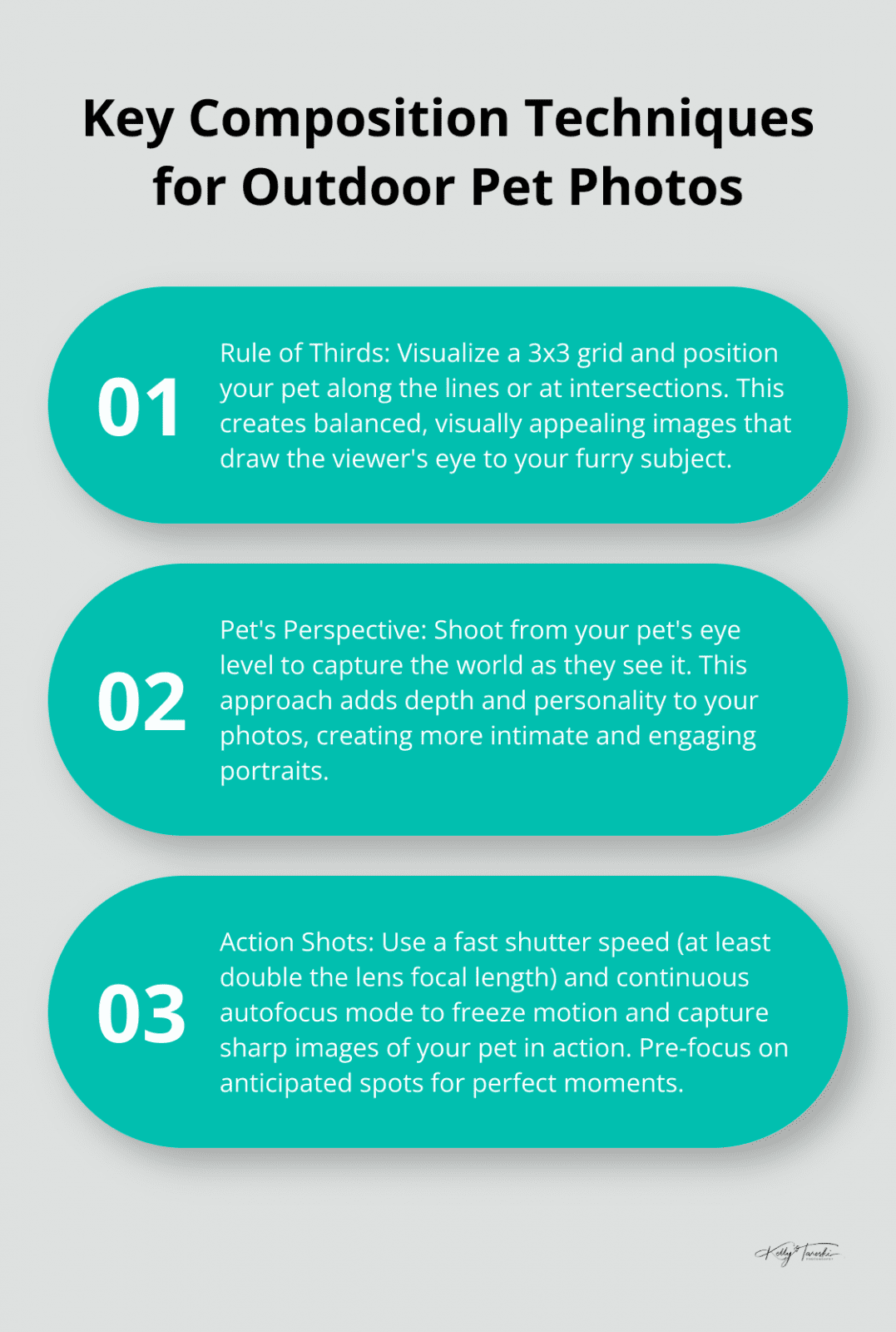 An ordered list chart showing three key composition techniques for outdoor pet photography: Rule of Thirds, Pet's Perspective, and Action Shots - Photography Education