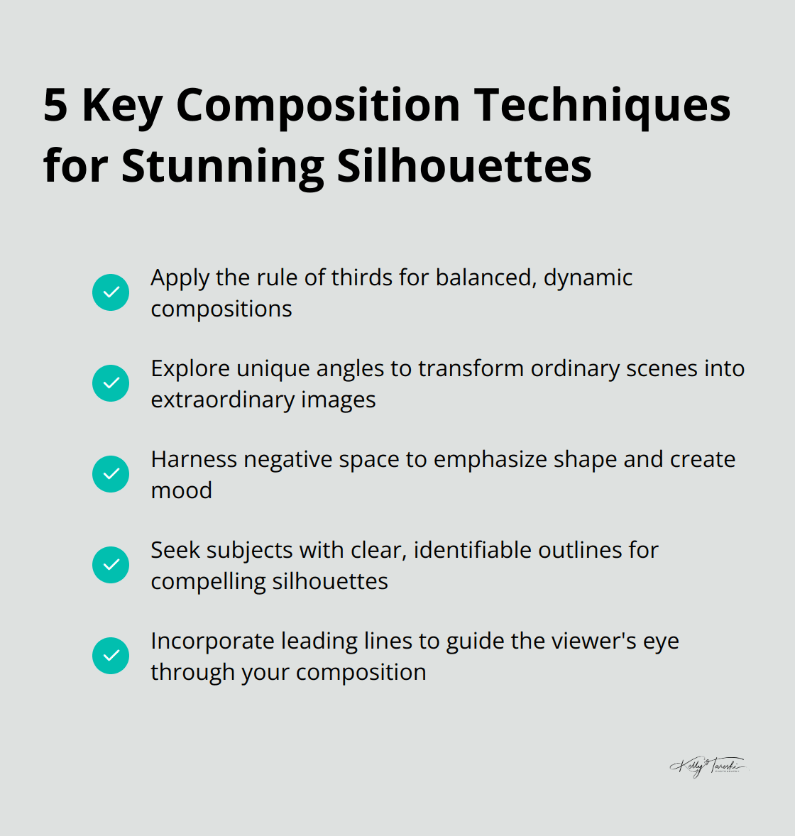Checkmark list of five essential composition techniques for silhouette photography: rule of thirds, unique perspectives, negative space, distinctive shapes, and leading lines - Photography Education