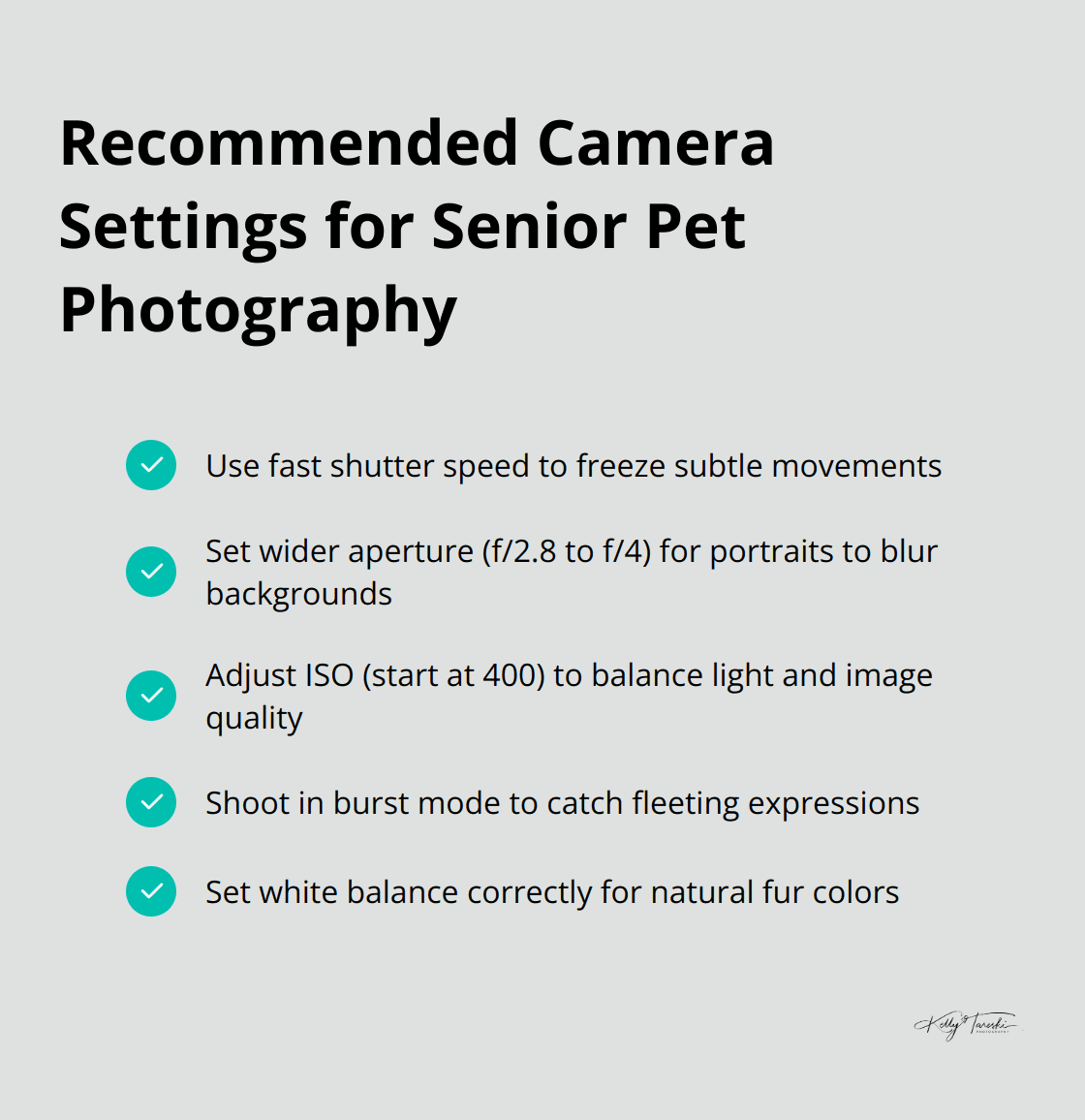Checklist of recommended camera settings for photographing senior pets, including shutter speed, aperture, ISO, burst mode, and white balance.