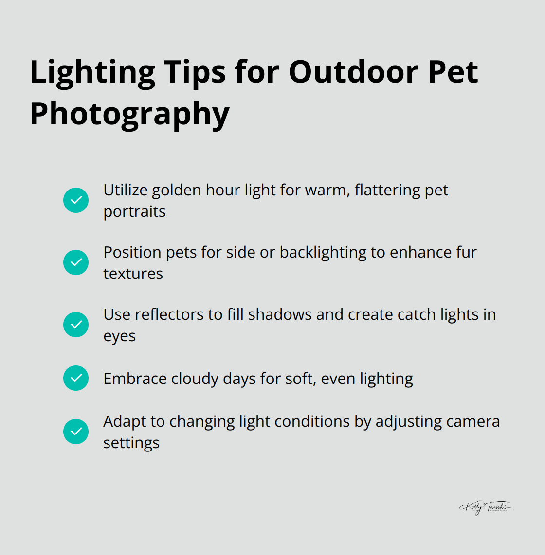 A checkmark list chart showing five key lighting tips for outdoor pet photography - Photography Education