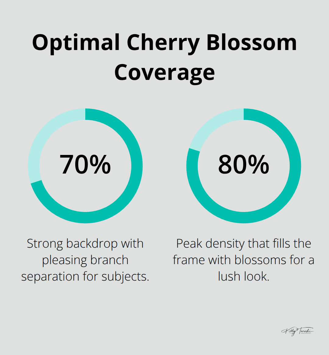 Percentage chart showing ideal cherry blossom bloom coverage for family portraits