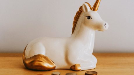 Startup Investment Dilution