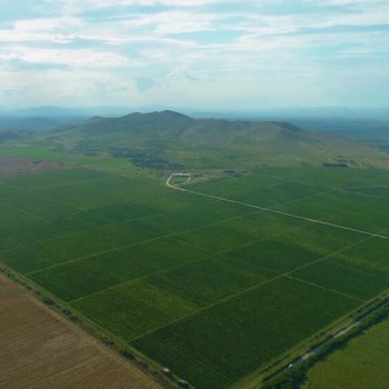 Рекламен филм за винарна беса вали (bessa valley) 2