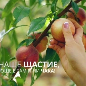 Изработка на видео реклама (бранд видео) за булгарконсерв 4