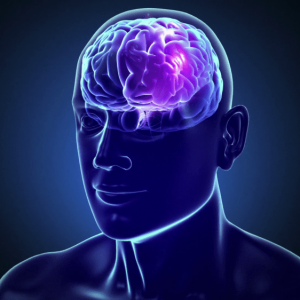 Видео за откриваща церемония на world congress of neurology 2019 (wcn 2019) dubai 12