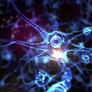 Видео за откриваща церемония на world congress of neurology 2019 (wcn 2019) dubai 13