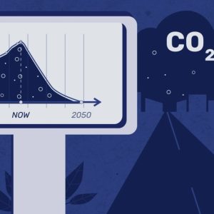 Изработка на explainer видео за проект maesha (horizon 2020 европейски съюз) 3