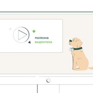 Изработка на анимирано explainer видео за petbuddy. Bg 12