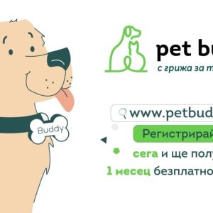 Pets explainer video production