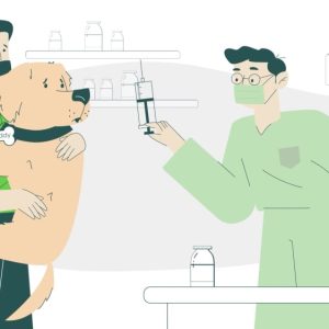Експлейнър видео explainer video petbuddy. Bg
