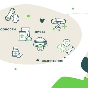 Изработка на анимирано explainer видео за petbuddy. Bg 4