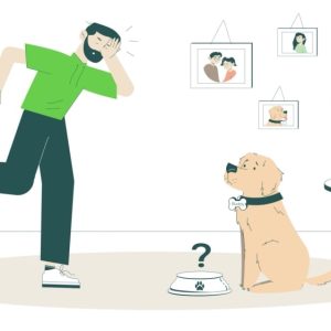 Изработка на анимирано explainer видео за petbuddy. Bg 5