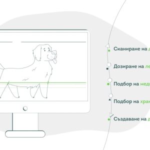 Изработка на анимирано explainer видео за petbuddy. Bg 7