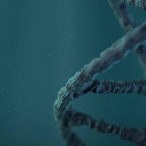 Изработка на рекламен продуктов видеоклип за triactal от biotica 6