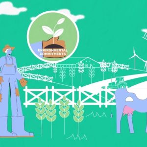 Изработка на explainer видео за проект pattern (horizon2020) на европейски съюз 7