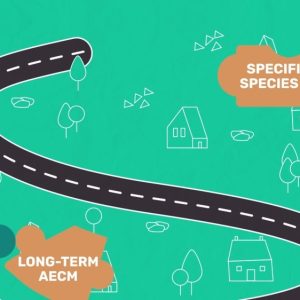 Изработка на explainer видео за проект pattern (horizon2020) на европейски съюз 8