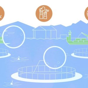 Изработка на explainer видео за проект pattern (horizon2020) на европейски съюз 16