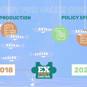Изработка на explainer видео за проект pattern (horizon2020) на европейски съюз 17