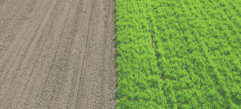 поділ землі поділ землі