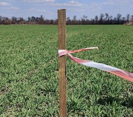 вынос пая в натуру