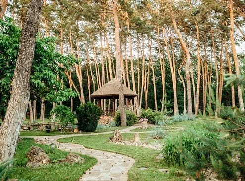 Подеревна зйомка