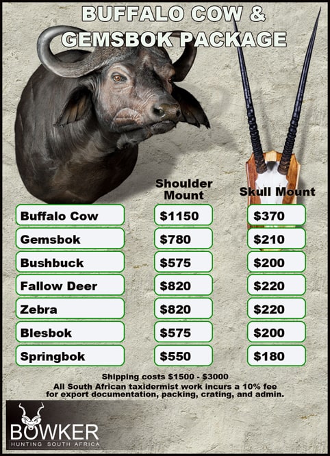 Cape Buffalo Hunting Packages and Prices - Hunt Cape Buffalo 27 Taxidermy cost for Cape Buffalo cow and Gemsbok package.