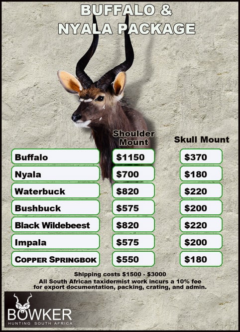 Cape Buffalo Hunting Packages and Prices - Hunt Cape Buffalo 29 Taxidermy cost for Cape Buffalo and Nyala package.