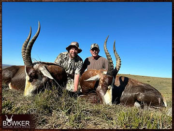 Trophy Hunting South Africa 98 Africa blesbok hunt 2023.