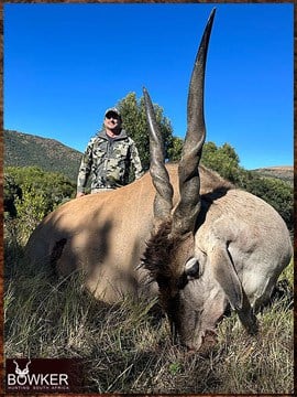 Trophy Hunting South Africa 112 Africa eland hunt in 2023.
