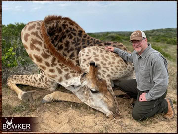 Trophy Hunting South Africa 5 Africa giraffe hunting with Nick Bowker.