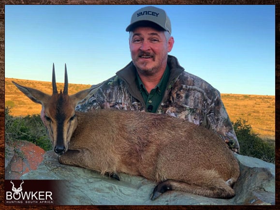 Duiker hunting with Nick Bowker Africa grey duiker hunting with Nick Bowker.