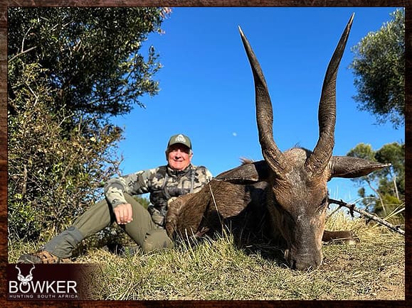 Bushbuck Hunting - Discover the Thrill of a Bushbuck Hunt 4 Africa Bushbuck hunt in 2023.