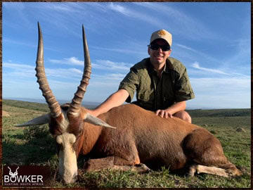 Free Range Hunting and Fair Chase Hunts in South Africa 29 Africa hunting. Blesbok hunt with Nick Bowker.