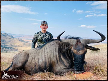 Free Range Hunting and Fair Chase Hunts in South Africa 31 africa blue wildebeest hunting with Nick Bowker.