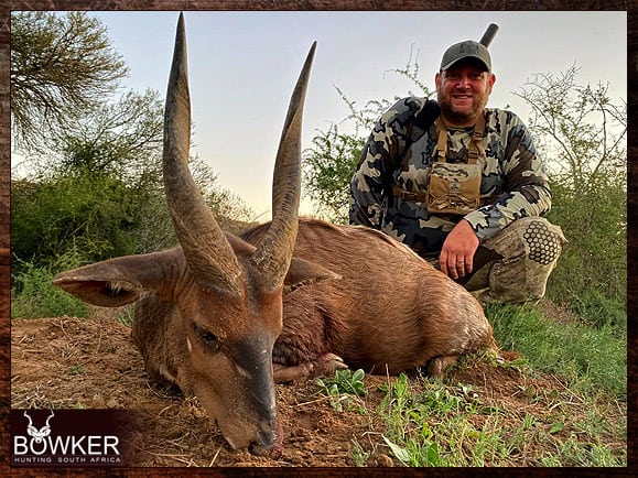 Bushbuck Hunting - Discover the Thrill of a Bushbuck Hunt 22 Trophy hunting Bushbuck