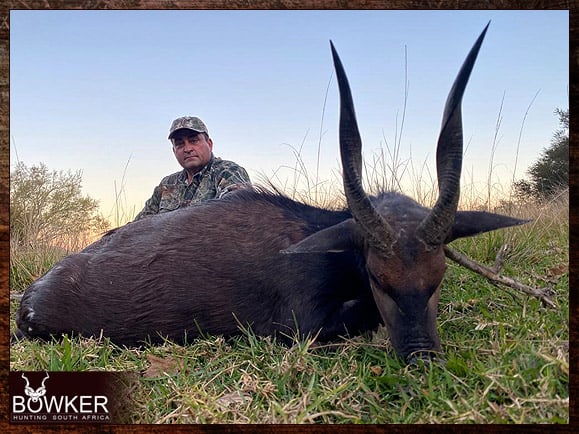 Bushbuck Hunting - Discover the Thrill of a Bushbuck Hunt 20 Africa bushbuck hunting with Nick Bowker.