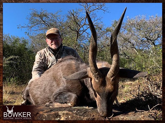 Bushbuck Hunting - Discover the Thrill of a Bushbuck Hunt 14 Bushbuck hunts with Nick Bowker.