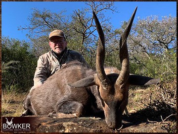 Trophy Hunting South Africa 119 Africa hunting bushbuck with Nick Bowker.