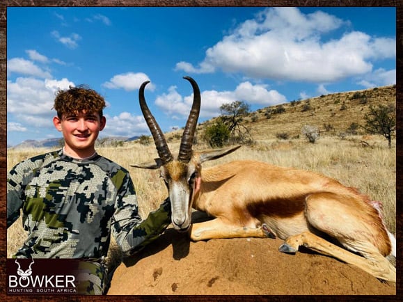 Africa hunting copper springbok.