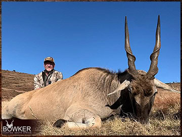 Trophy Hunting South Africa 113 Africa hunting Eland with Nick Bowker.