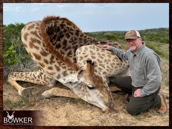 Giraffe Hunting - All You Need to Know About Hunting Giraffe 7 Africa giraffe hunting with Nick Bowker.