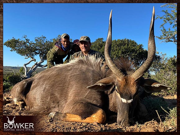Nyala Hunting - All You Need to know about Nyala Hunts 10 Africa nyala hunting with Nick Bowker.