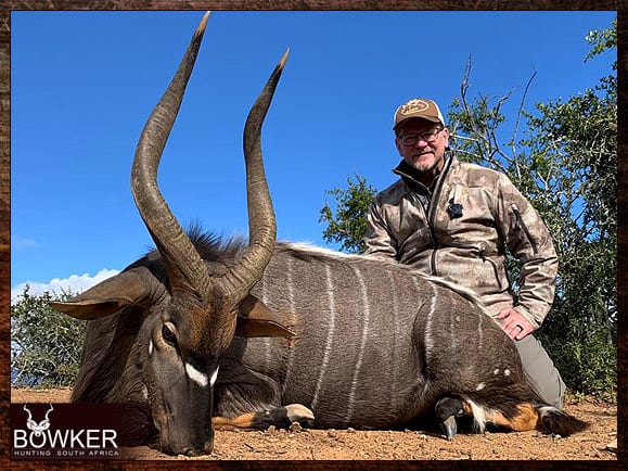 Nyala Hunting - All You Need to know about Nyala Hunts 12 African nyala hunting with Nick Bowker.