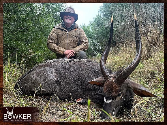 Nyala Hunting - All You Need to know about Nyala Hunts 16 African Nyala hunt 2023.